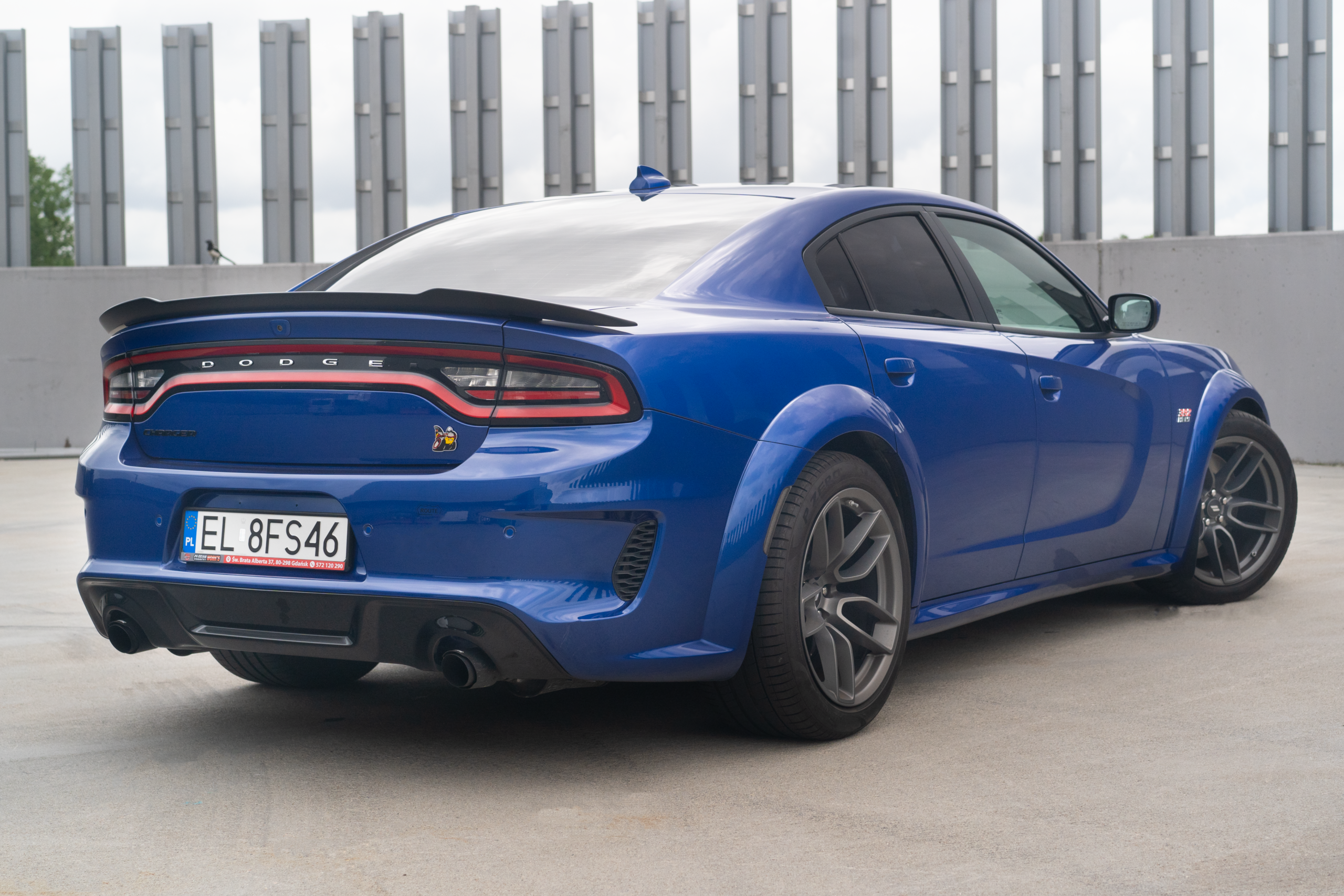 Dodge Charger tył